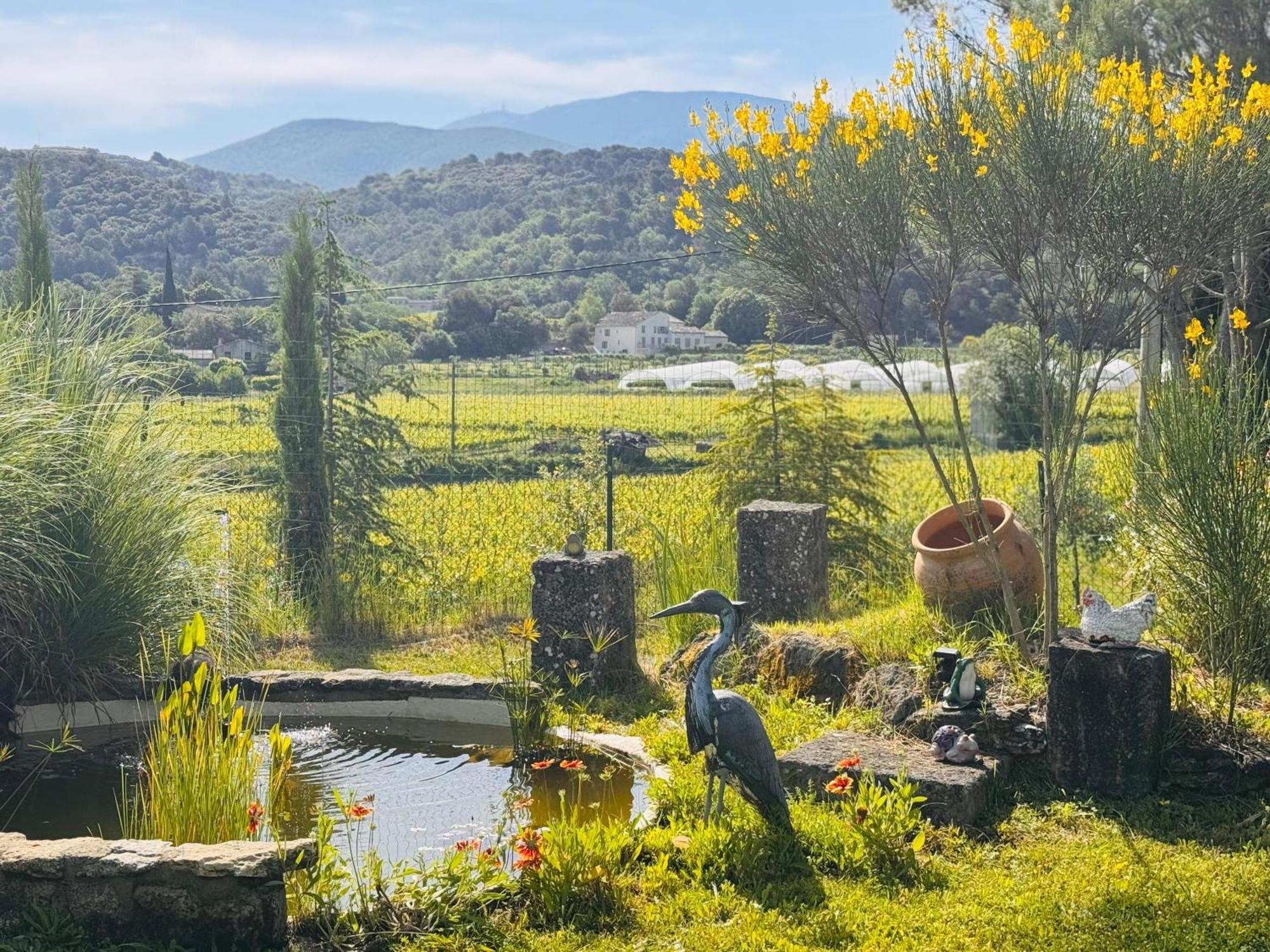 Vila Mas Des Anges Entrechaux Exteriér fotografie